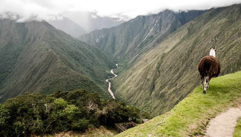Camino Inca a Machu Picchu 2D